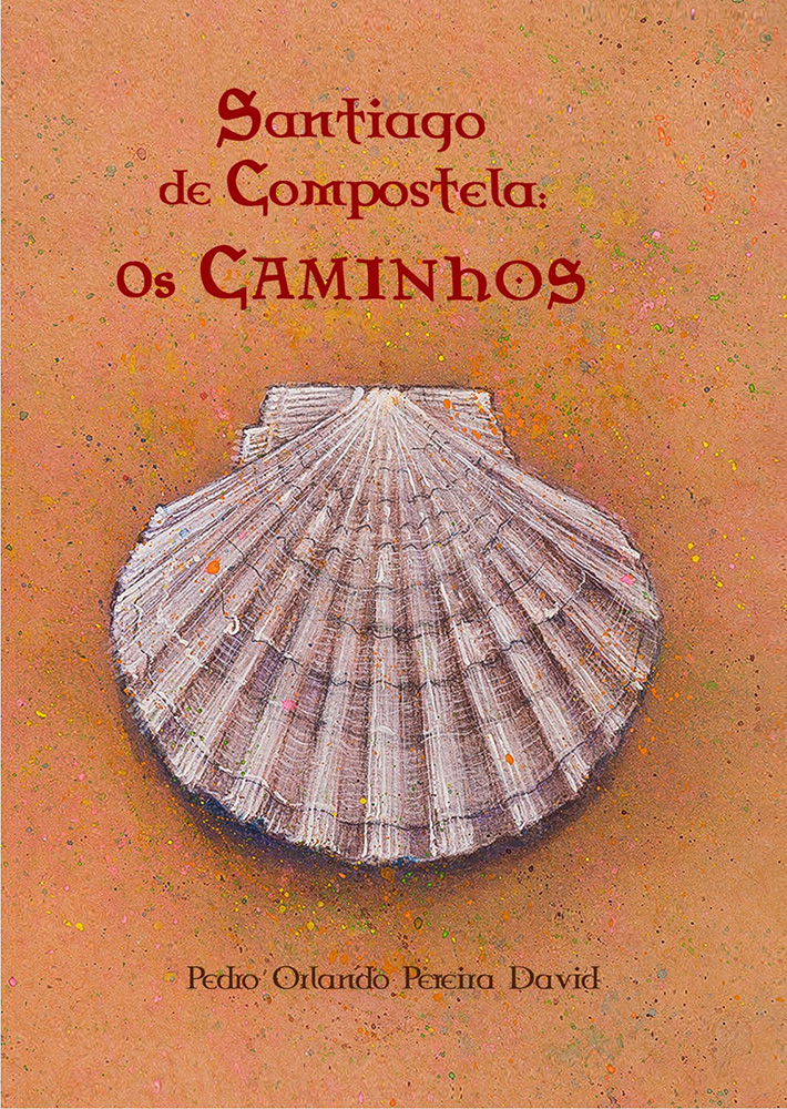 pedro-david-santiago-de-copostela-os-caminhos